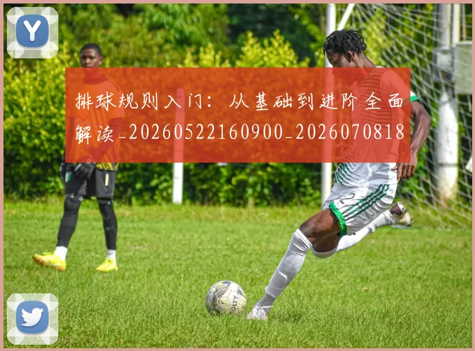 排球规则入门：从基础到进阶全面解读_20260522160900_20260708185851