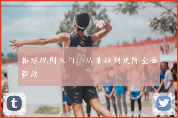 排球规则入门：从基础到进阶全面解读